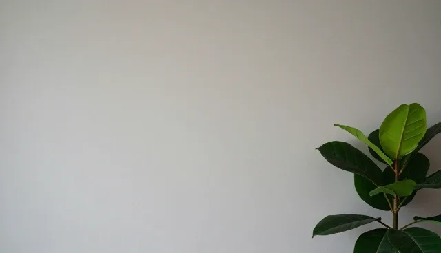 诊疗服务：门诊服务优化对患者体验的影响分析