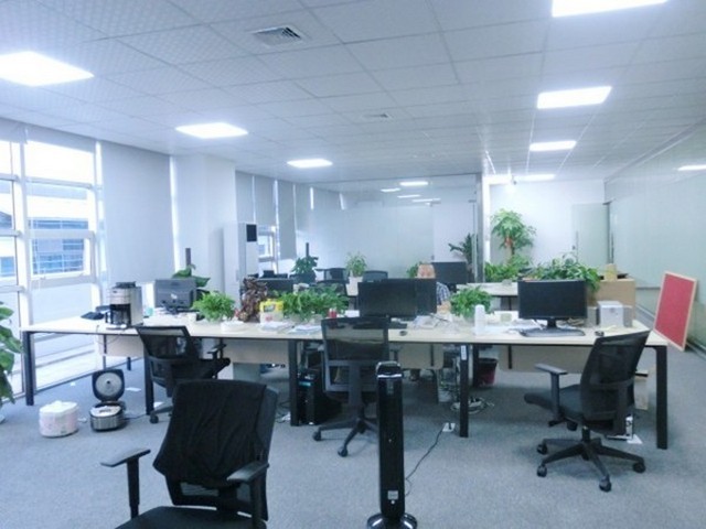 新款铝膜气球哪家好